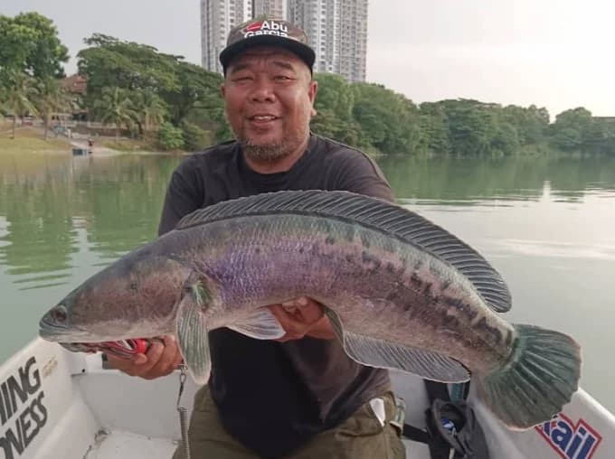 Azam Skipper Prima - Image 3