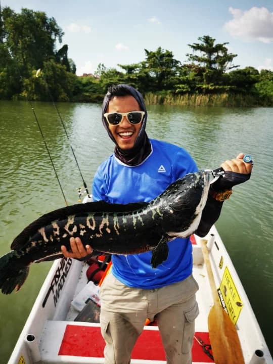 Azam Skipper Prima - Main