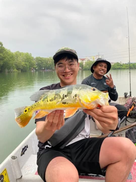 Abey Pie Prima - Main