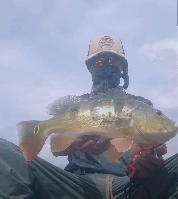 Prima Urban Boatmate - Main