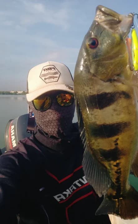 Prima Urban Boatmate - Image 3