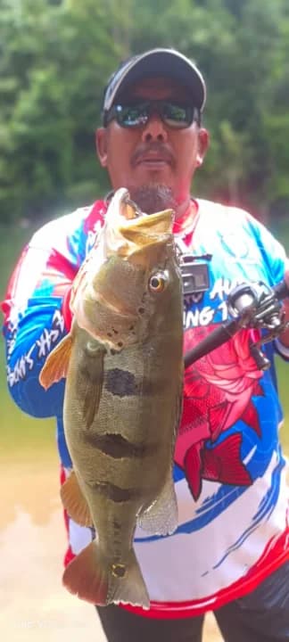 Angah Jungle Bass - Image 2