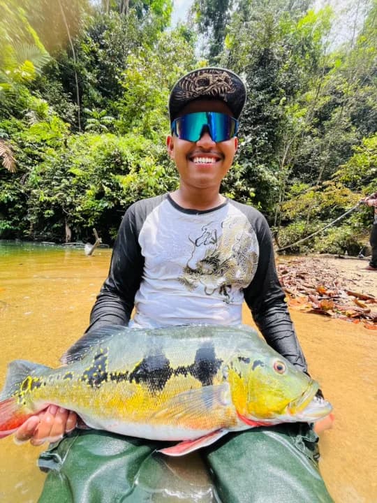 Angah Jungle Bass - Image 3