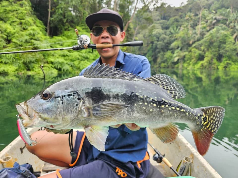 Angah Jungle Bass - Main