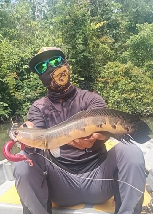 Lanun Kail Charter - Main