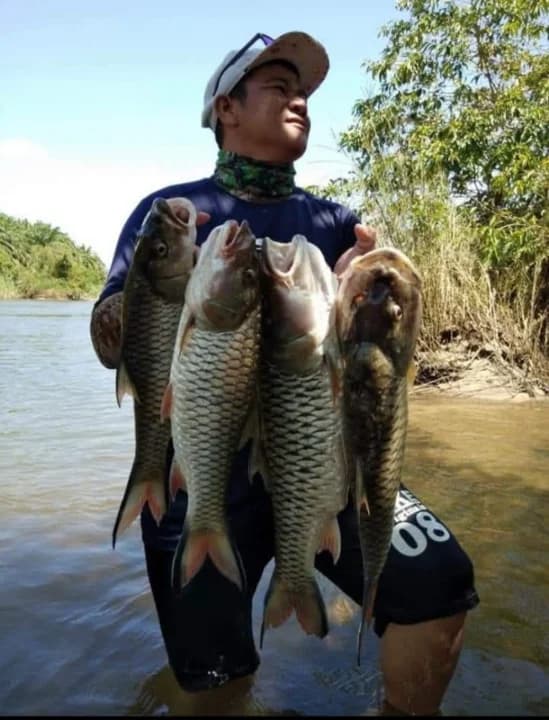 Angah Charter - Main