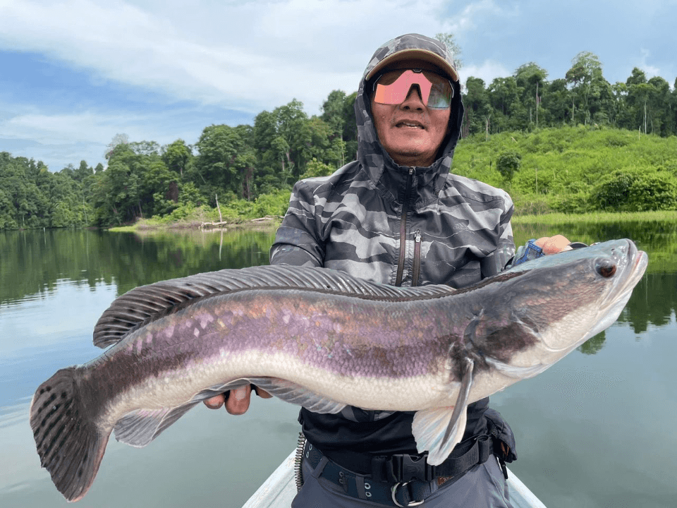 Kimie Fuad Air Ganda - Image 3