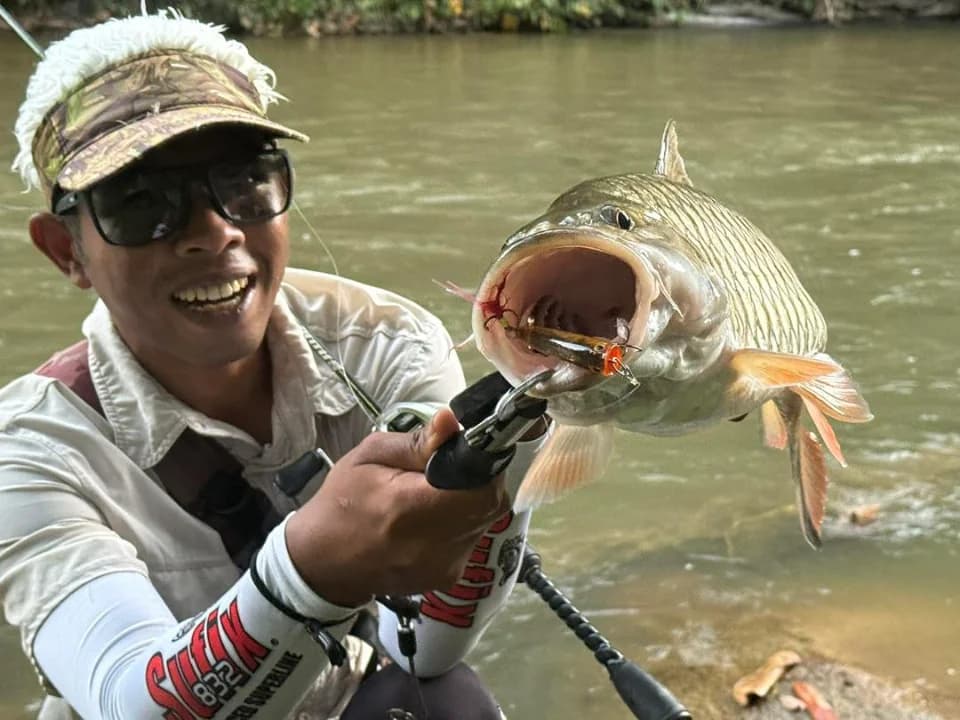 Stream 4 Hampala - Main