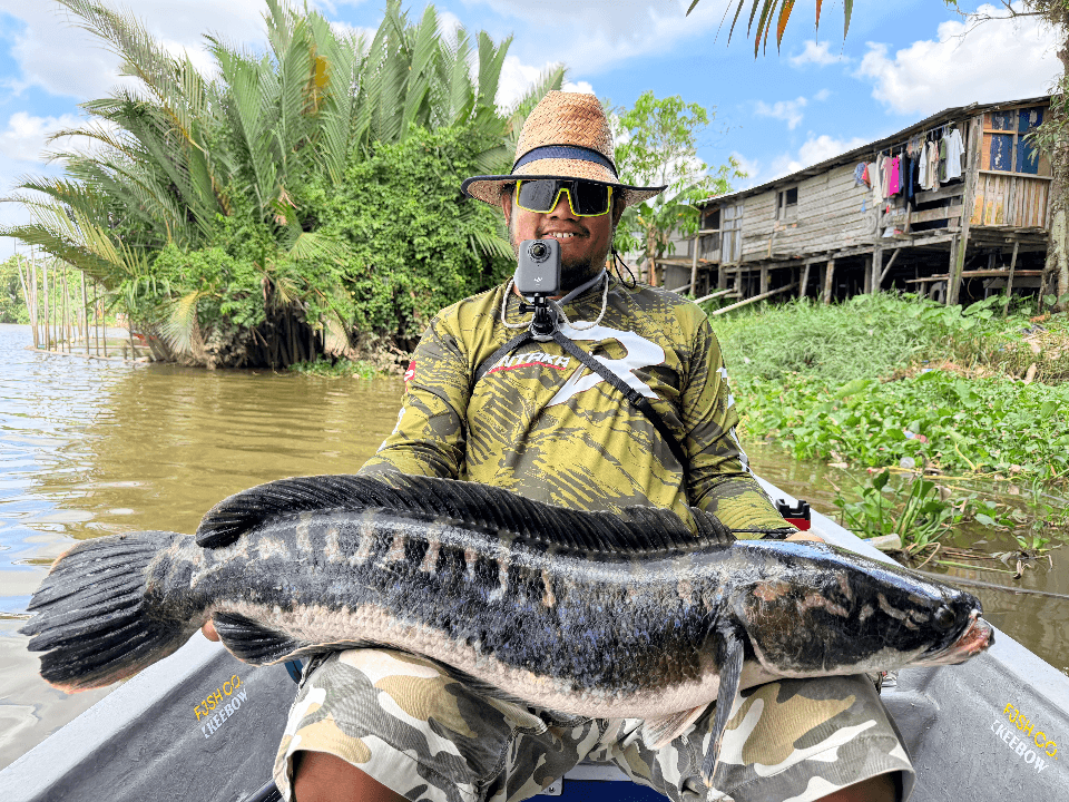 Sarawak River Monster - Main