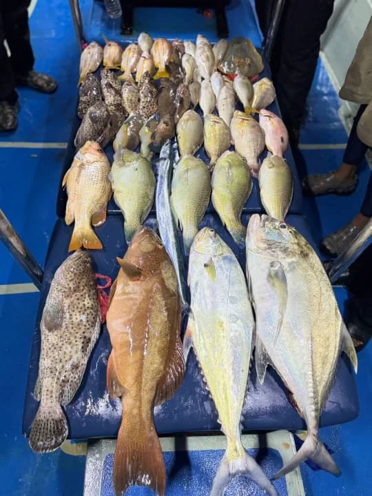 FishON Alwaysstrikee