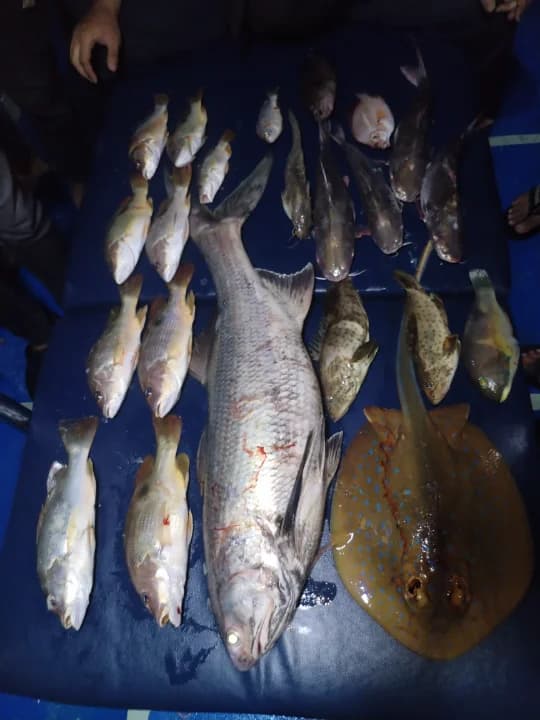 Fishon Alwaysstrikee - Image 2