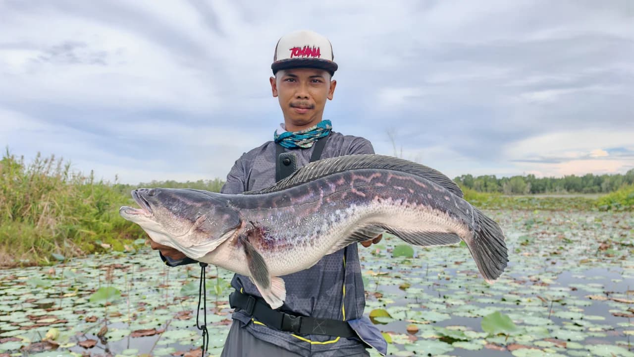 Aqilfishing - Image 2