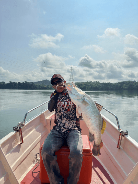 Wakdanel Boat Charter - Image 2