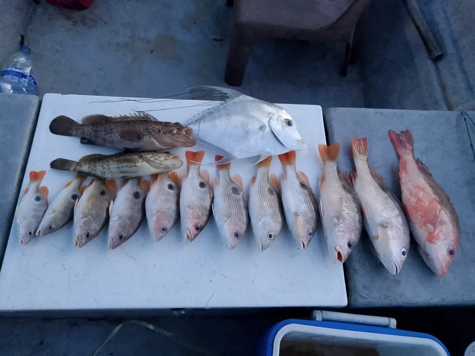 Tekong Zikri Boat Charter