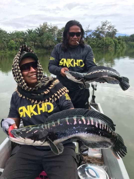 Crew Comando - Image 2