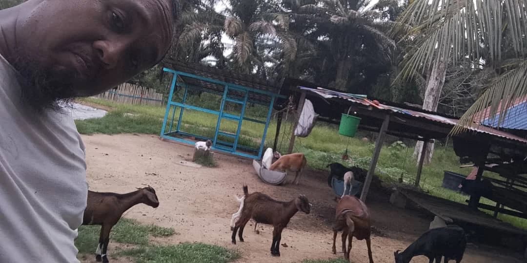 Ude Fishing Guide - Image 3