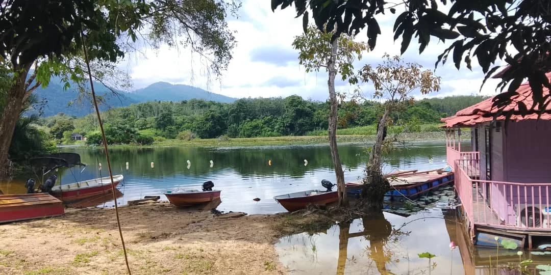 Ude Fishing Guide - Main