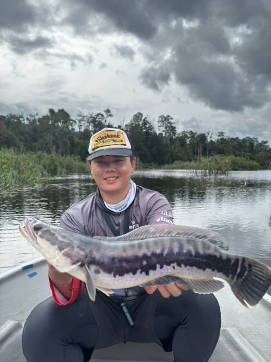 Kaki Caster Pahang - Image 2