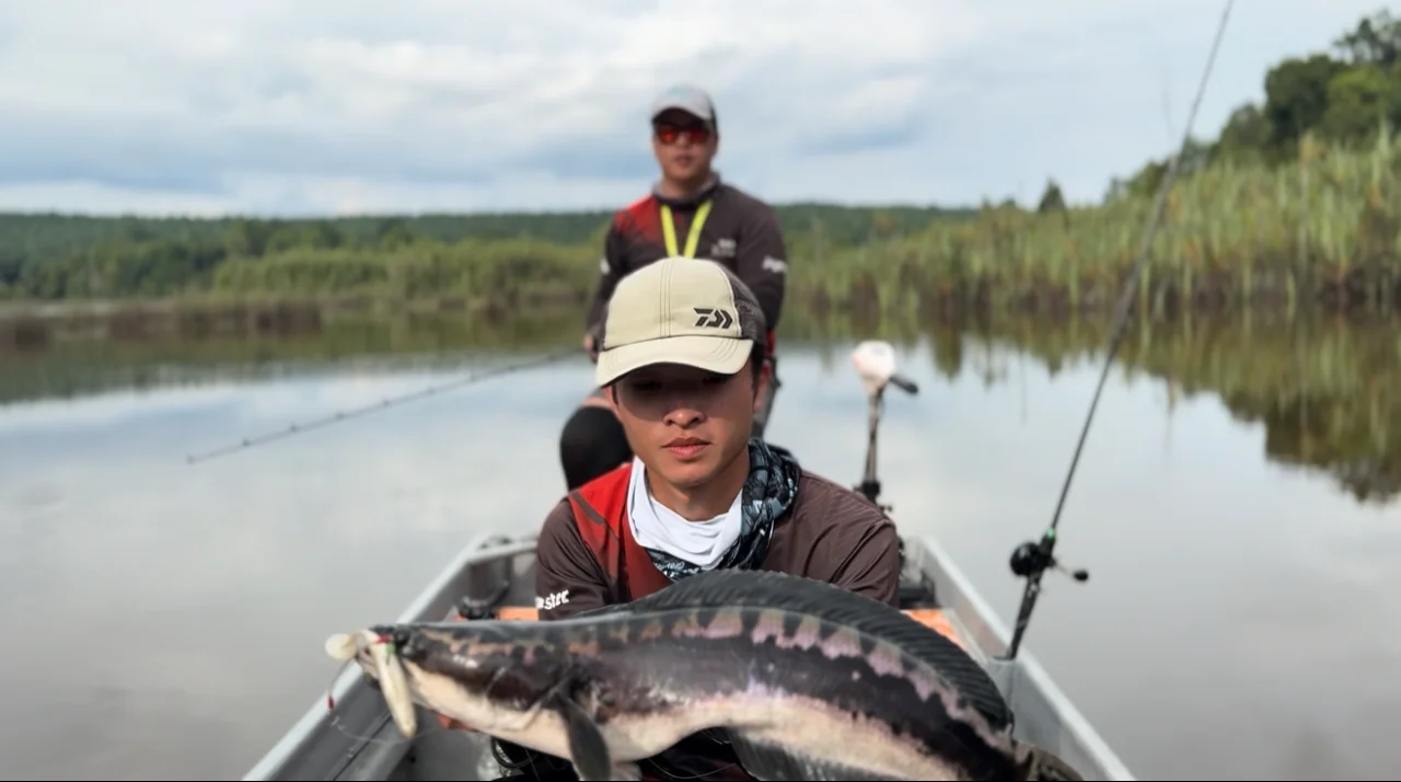 Kaki Caster Pahang - Image 3