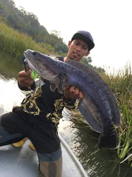 Fishinglifeisgood - Main