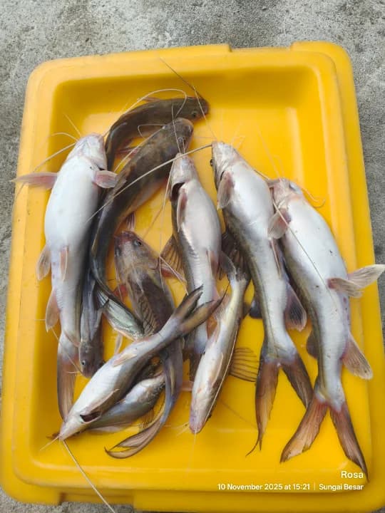 Long River Adventure - Image 2