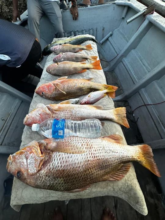 Morib Fish Hunter - Main