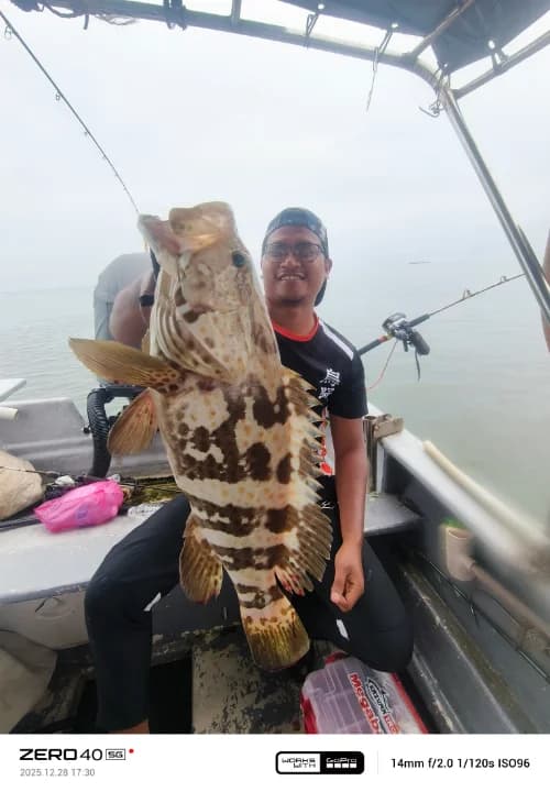 Morib Fish Hunter - Image 2