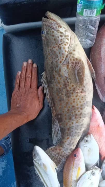 Perahu Anglerz - Main