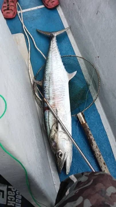 Perahu Anglerz - Image 3