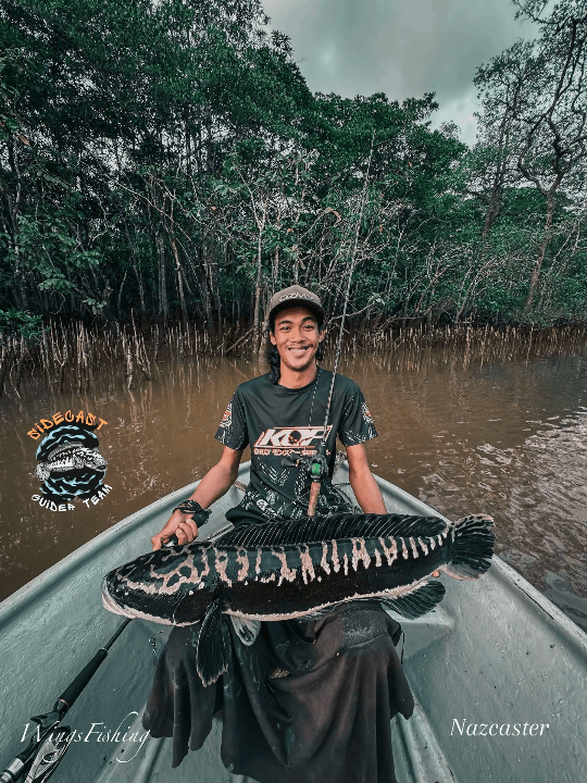 Teamsidecast - Image 3