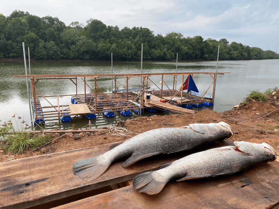 Sopie Udang - Image 2