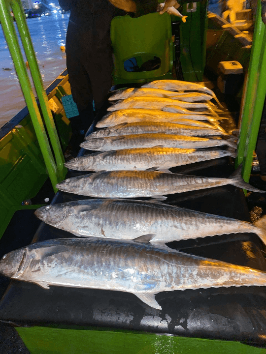 Awang Dukang Sport Fishing - Image 2