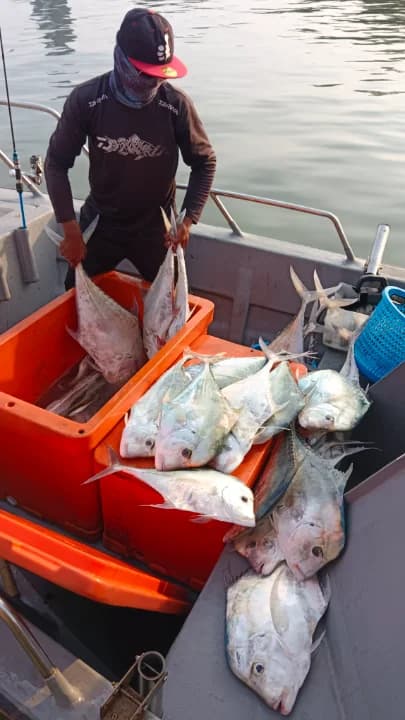 Tekongpokawi - Image 2