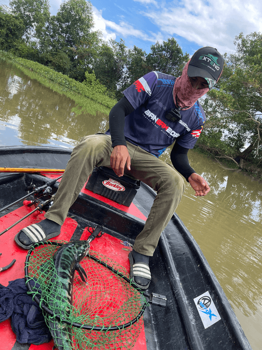 Toman Sungai Kedah - Image 3