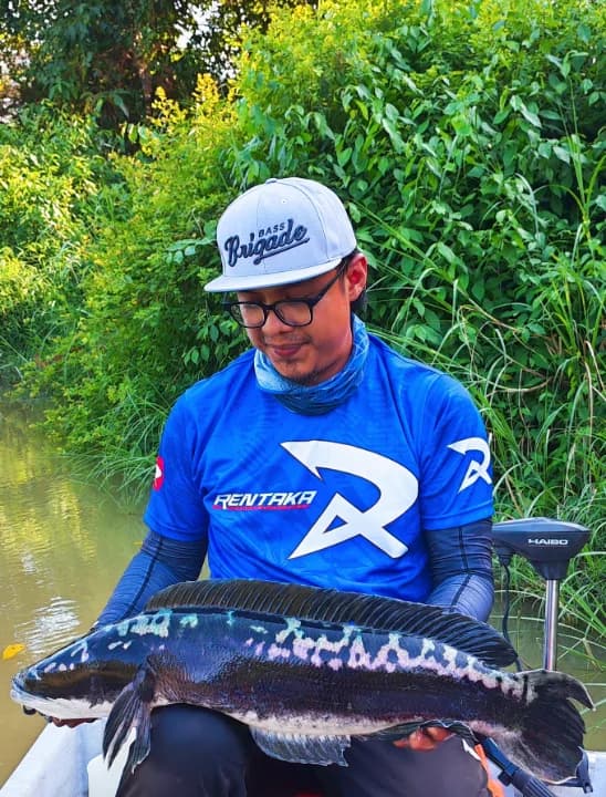 Edy Snakehead Hunter - Main