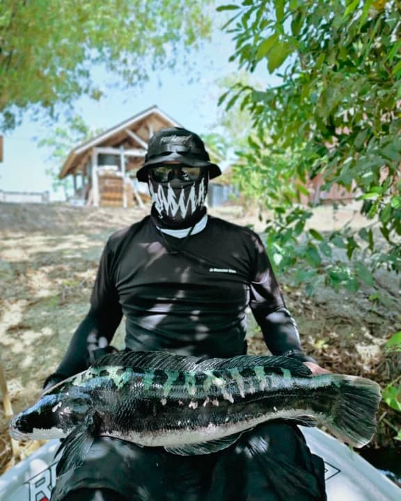 Edy Snakehead Hunter - Image 3