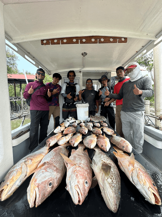 Camar Putih - Image 3